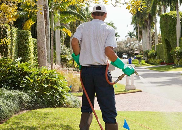 About Carlin NV Pest Control